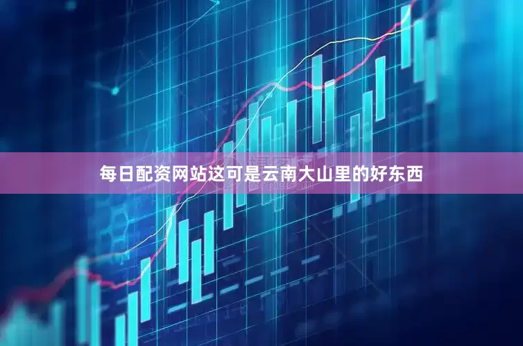 每日配资网站这可是云南大山里的好东西