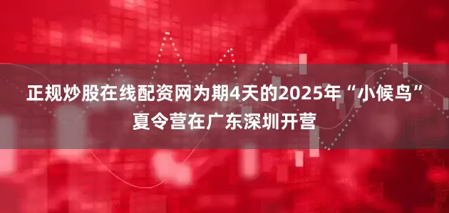 正规炒股在线配资网为期4天的2025年“小候鸟”夏令营在广东深圳开营